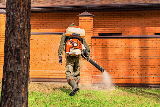Bed Bug Clearance Verification and Documentation in Deer Lodge